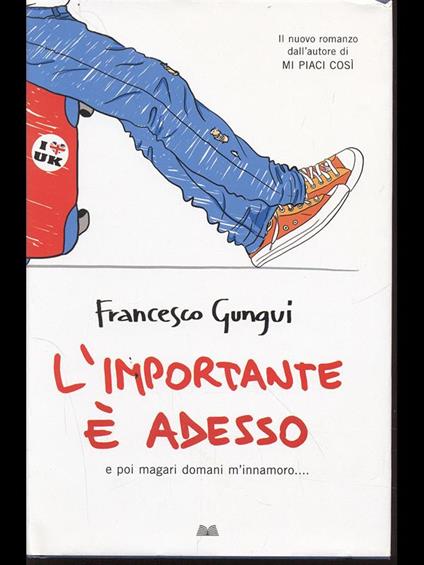 L' importante è adesso - Francesco Gungui - copertina