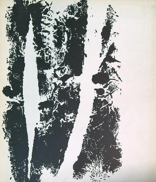 Toti Scialoja - copertina