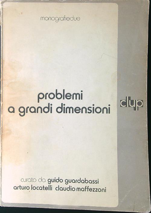 Problemi a grandi dimensioni