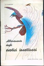 Allevamento degli esotici insettivori
