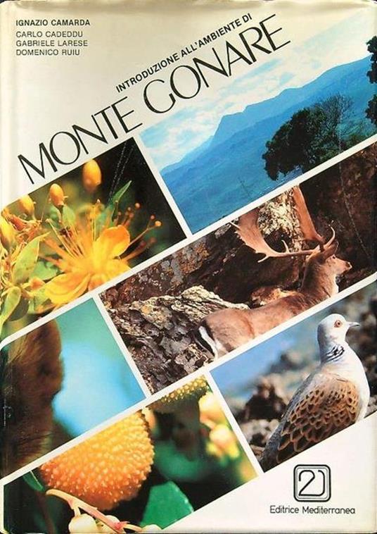 Introduzione all'ambiente di Monte Gonare - copertina