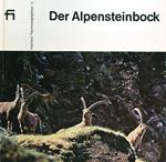 Der Alpensteinbock