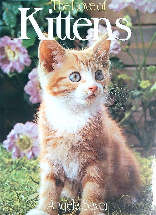 The Love of Kittens