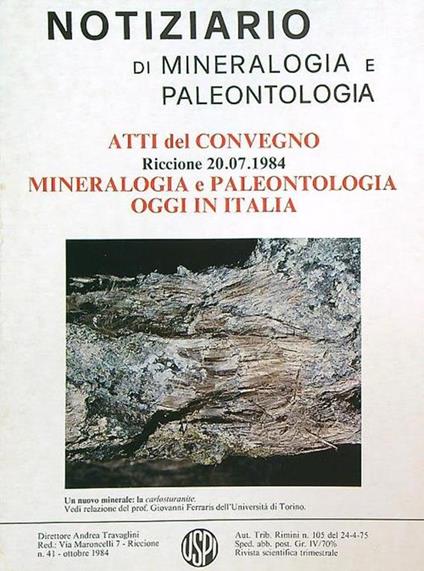 Notiziario di mineralogia e paleontologia 41/ottobre 1984 - copertina