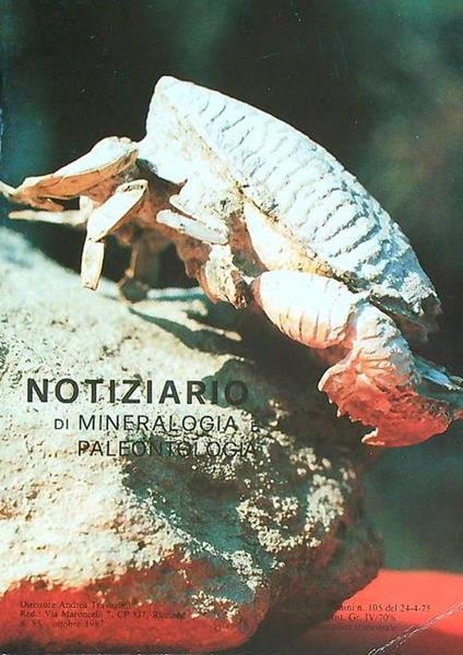 Notiziario di mineralogia e paleontologia 53/ottobre 1987 - copertina