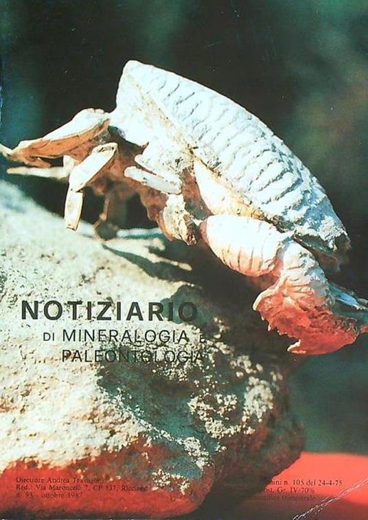 Notiziario di mineralogia e paleontologia 53/ottobre 1987 - copertina