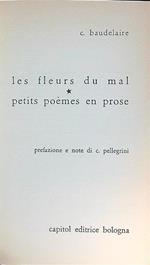 fleurs du mal. Petits poemes en prose