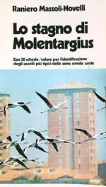 stagno di Molentargius