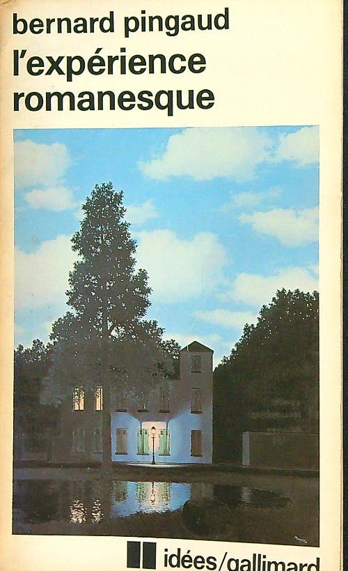 expérience romanesque