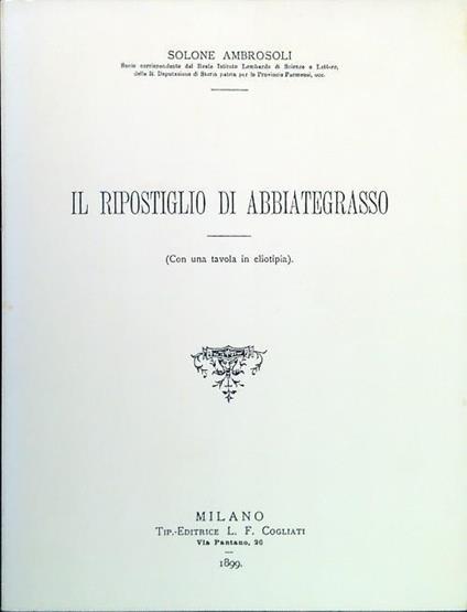 ripostiglio di Abbiategrasso - Solone Ambrosoli - copertina
