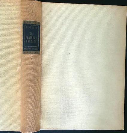 pericolo mentale - Maurizio Verdun - copertina