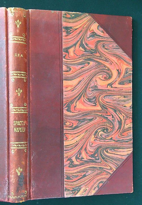 Spaccanapoli - Domenico Rea - copertina