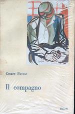 Il compagno