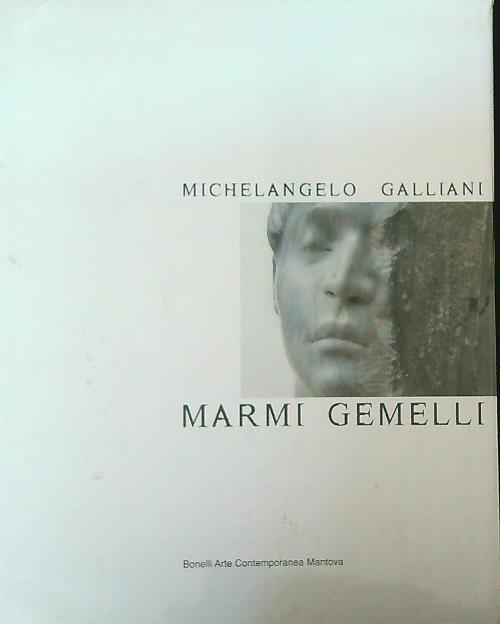 Michelangelo Galliani. Marmi gemelli