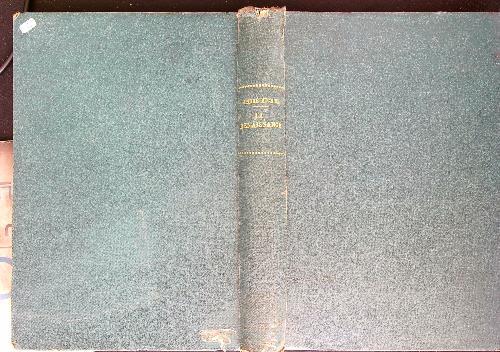 Histoire de l'art. Tome IV La renaissance. Premier partie