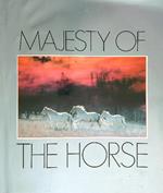 Majesty of the Horse