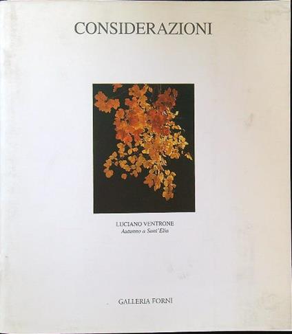 Considerazioni - copertina