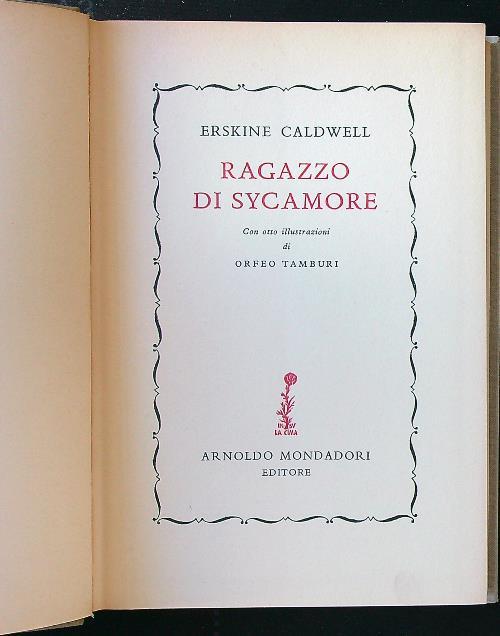 Ragazzo di Sycamore - Erskine Caldwell - copertina