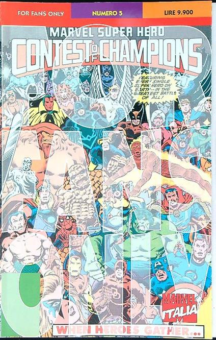 For Fans Only Numero 5 - copertina