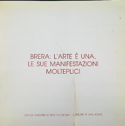 Brera: l'arte è una, le sue manifestazioni molteplici - copertina