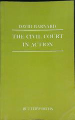 The civil court in action
