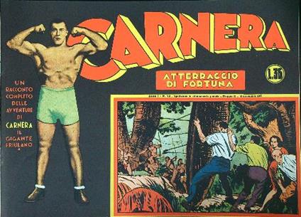 Carnera Atterraggio di fortuna - copertina