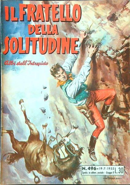 Il fratello della solitudine - copertina