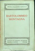 Bartolommeo Montagna