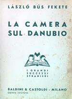 La camera sul Danubio
