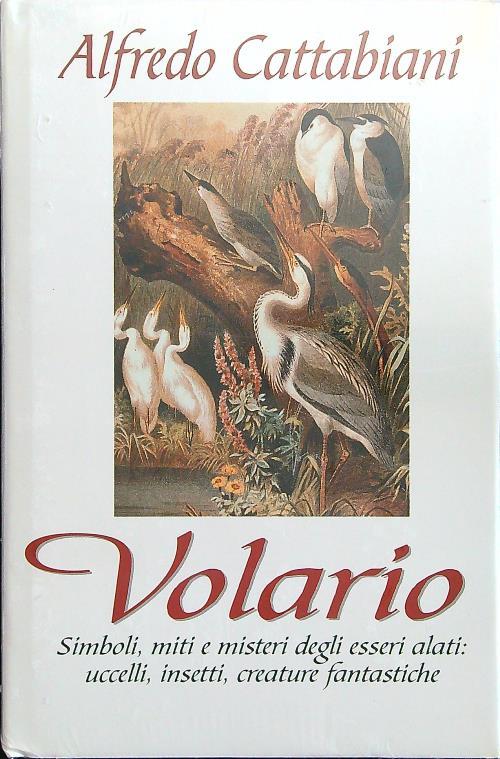 Volario