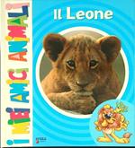 I  miei amici animali Il leone