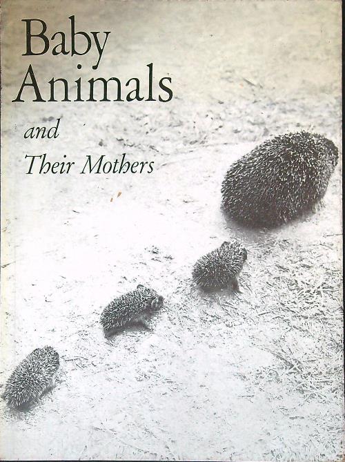 Baby Animals and Their Mothers
