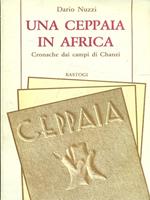Una ceppaia in Africa