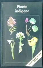 Piante indigene