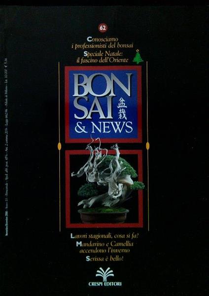 Bonsai & News 62, Novembre Dicembre 2000 - copertina