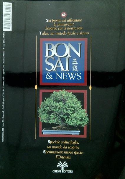 Bonsai & News 69, Gennaio Febbraio 2002 - copertina