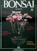 Bonsai & News 56, Novembre Dicembre 1999