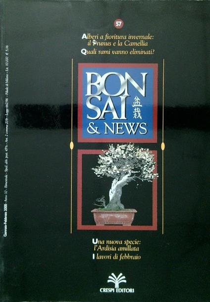 Bonsai & News 57, Gennaio Febbraio 2000 - copertina
