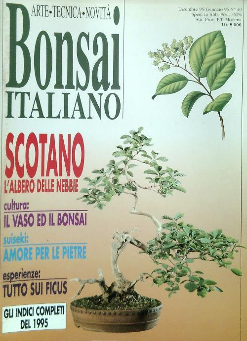 Bonsai italiano N. 40/Dicembre 95 Gennaio 96 - copertina