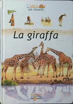 La giraffa