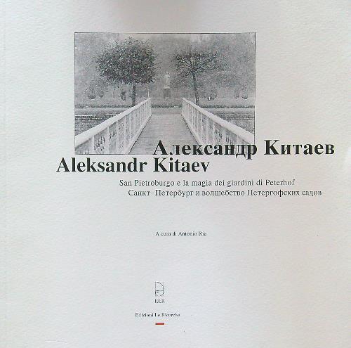 Aleksander Kitaev - Antonio Ria - copertina