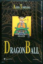 Dragonball 13
