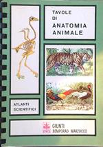 Tavole di Anatomia Animale