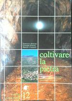 Coltivare la pietra. Sellero, Carona e Novelle: storie di poveri ed umili contadini e minatori