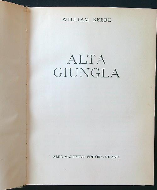 Alta giungla