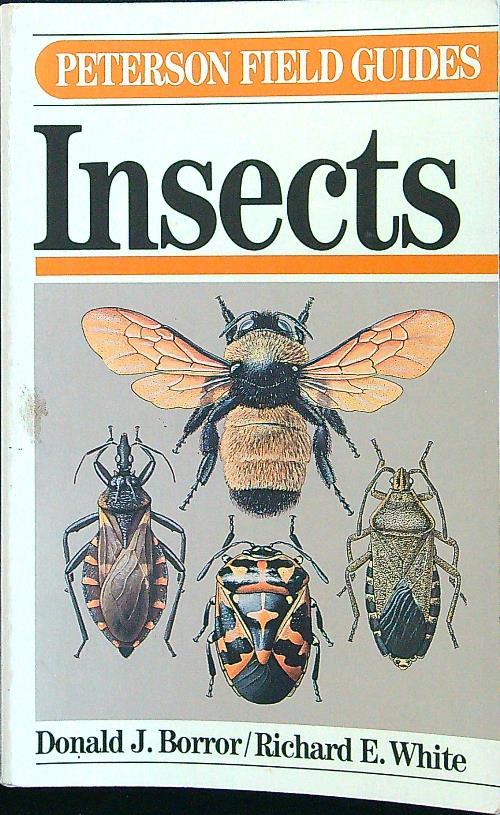 Insects