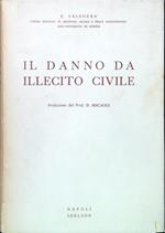 Il danno da illecito civile