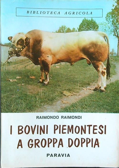 I bovini piemontesi a groppa doppia