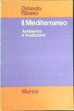 Il  mediterraneo