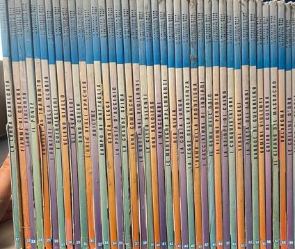 Il Selvaggio West - Numeri dal 21 al 60 - Luigi D'Antonio - copertina